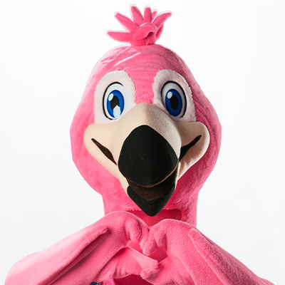 Strut the Flamingo